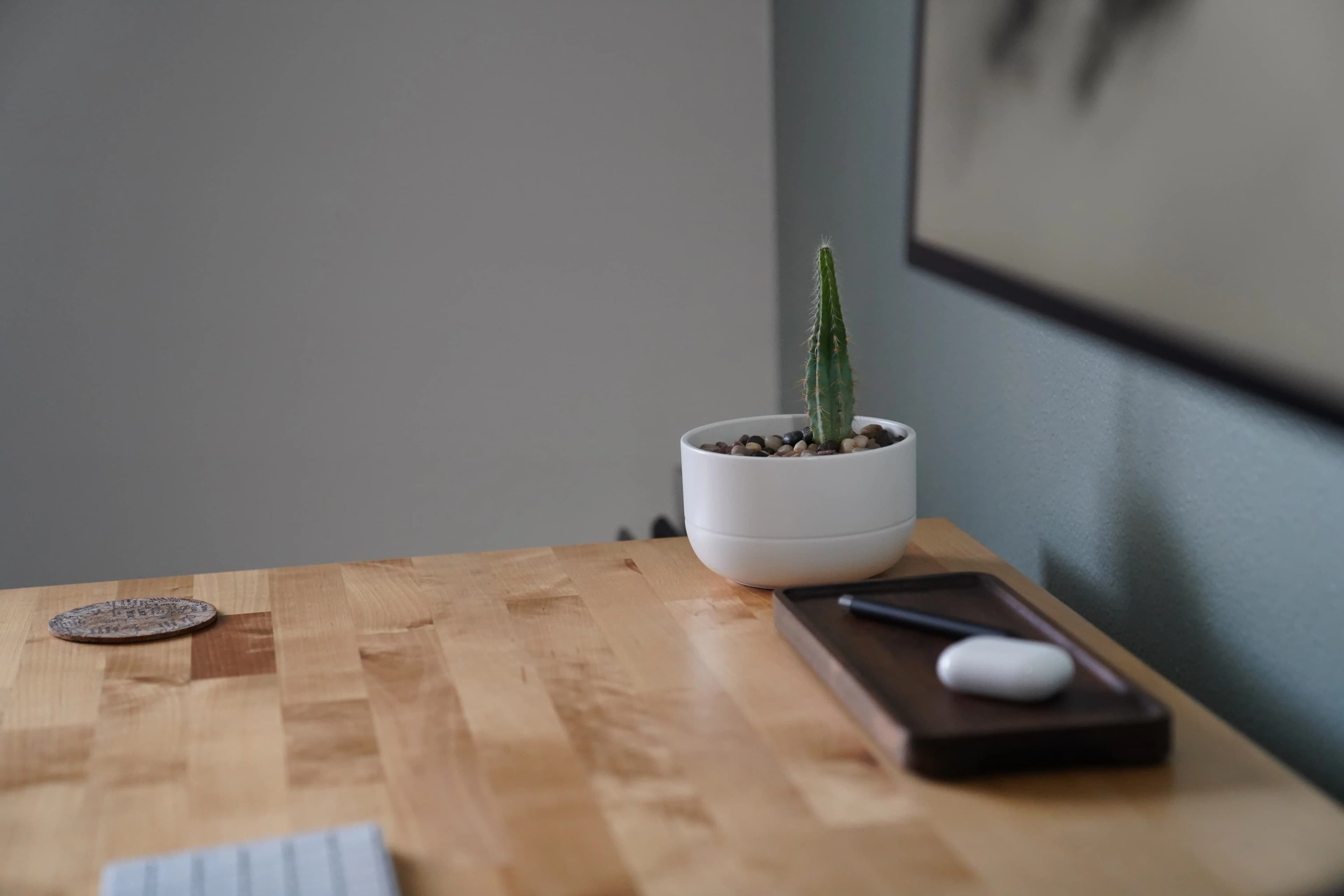 Desk plant