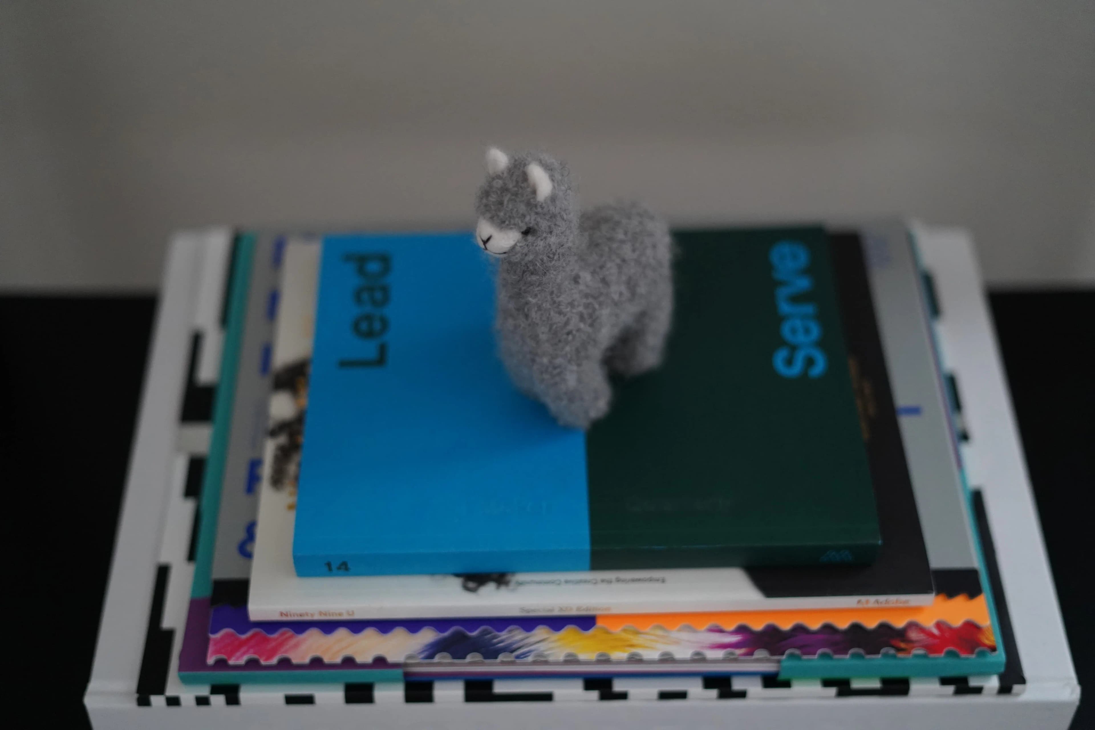 Book shelf details